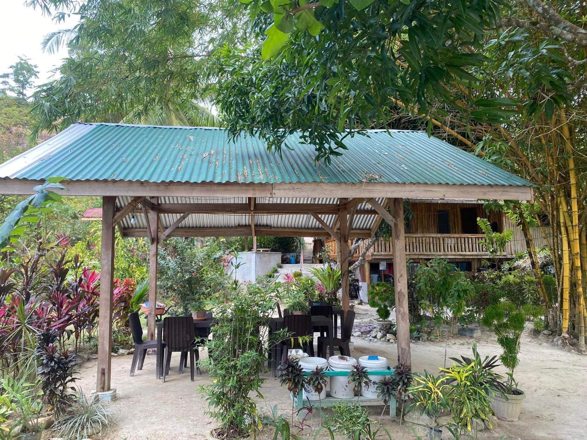 Port Barton - Paradiso Azul Campsite Beachfront With Internet San Vicente  Exterior foto