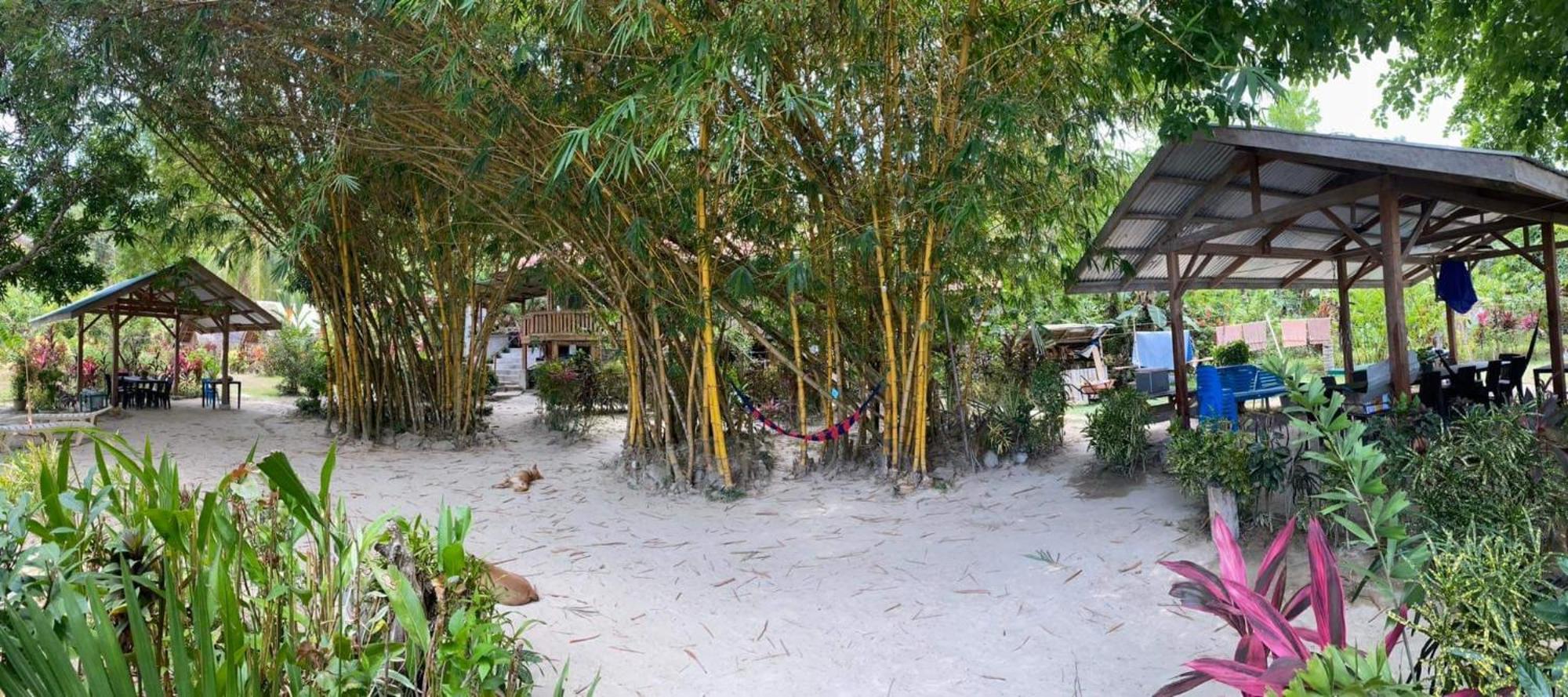 Port Barton - Paradiso Azul Campsite Beachfront With Internet San Vicente  Exterior foto