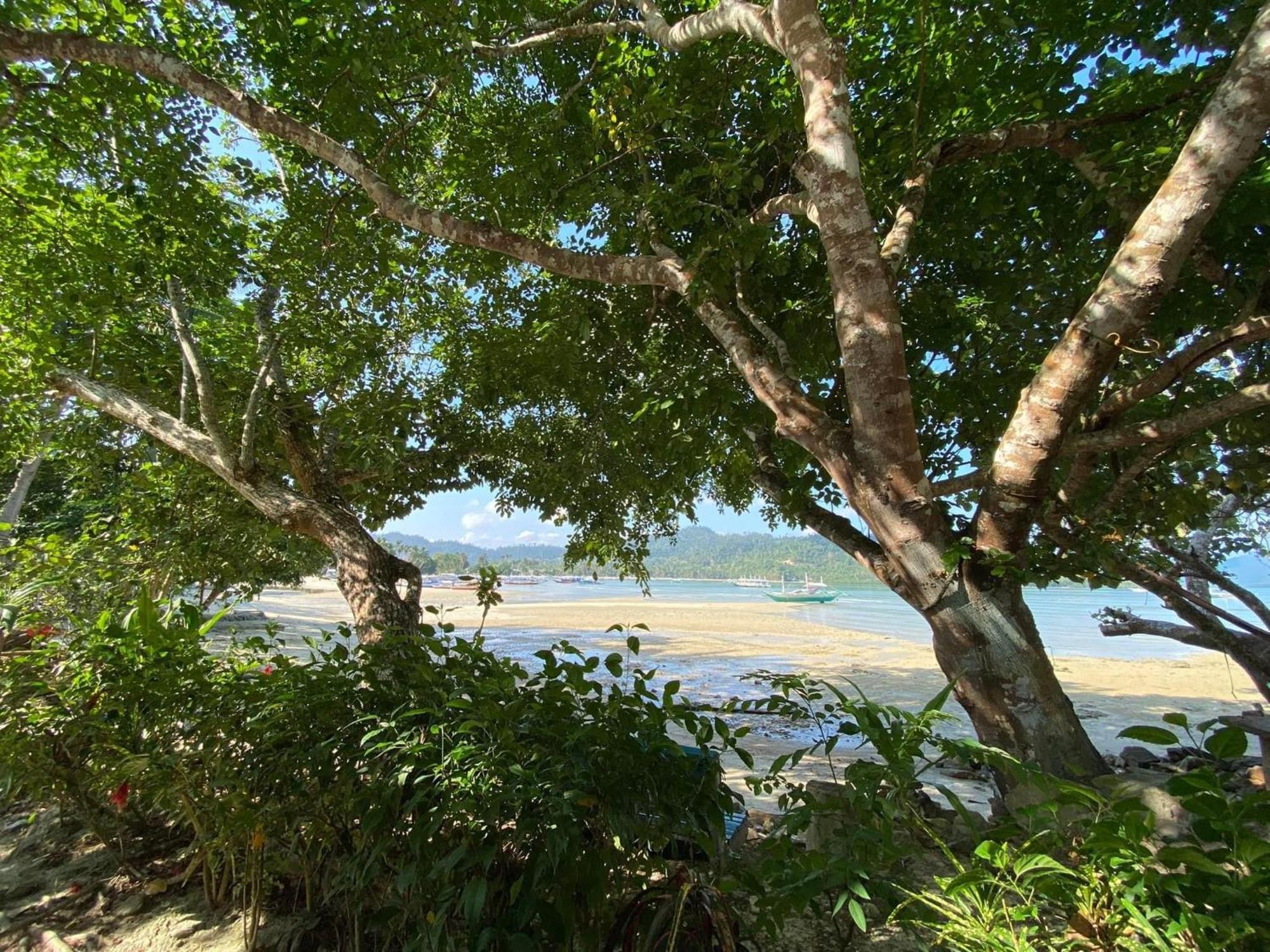 Port Barton - Paradiso Azul Campsite Beachfront With Internet San Vicente  Exterior foto