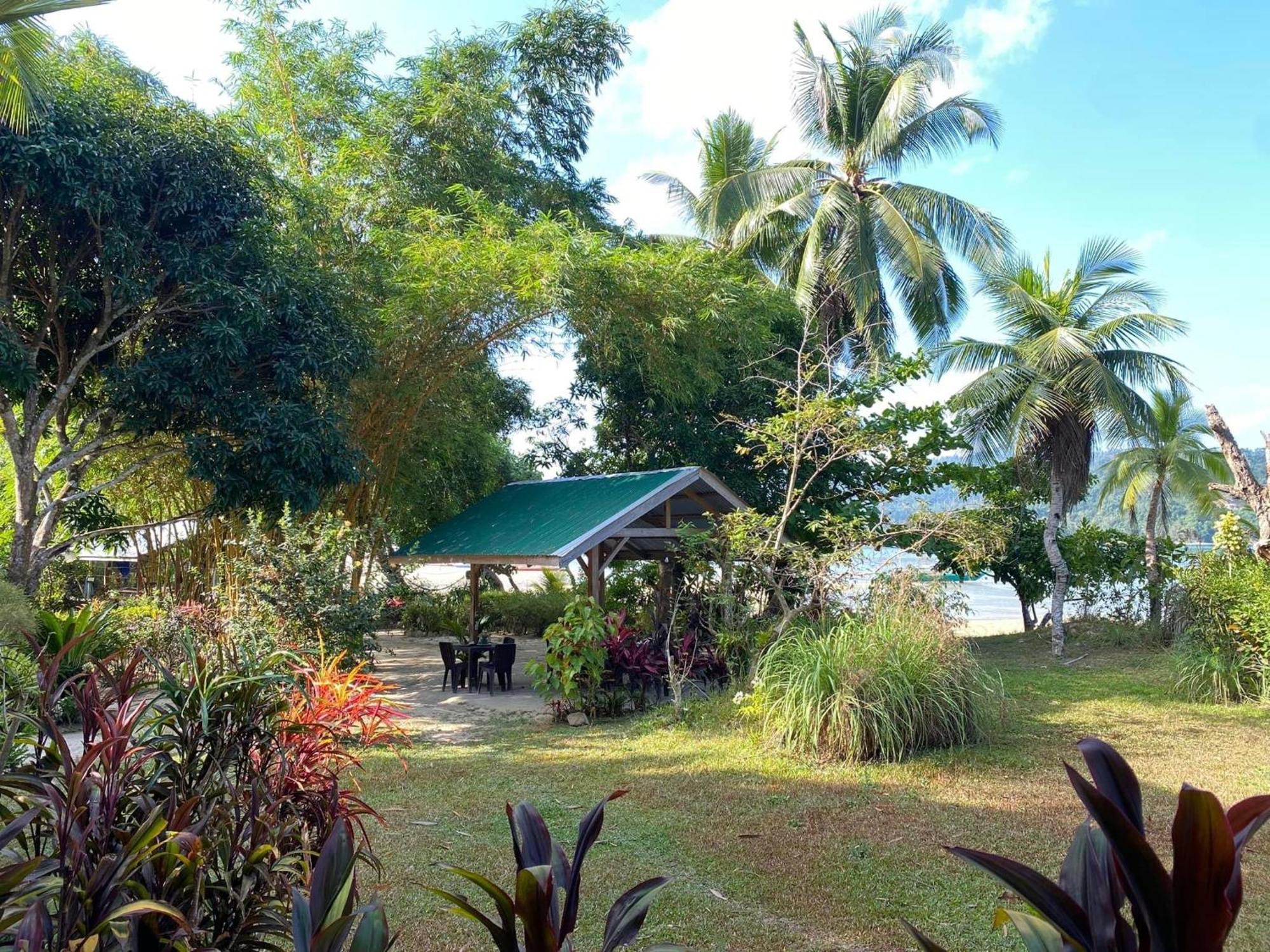 Port Barton - Paradiso Azul Campsite Beachfront With Internet San Vicente  Exterior foto